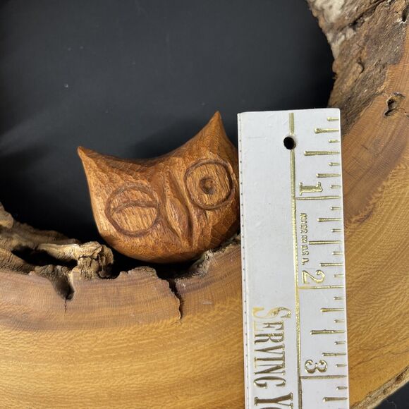 Burlwood Cut Live Edge Wood Slab Slice Owl Decor Unique OFAK Artwork - Picture 16 of 16